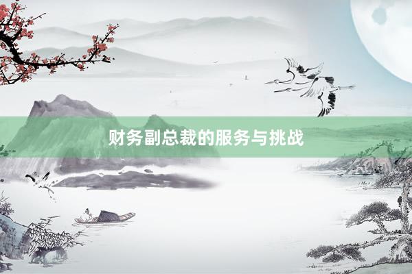 财务副总裁的服务与挑战